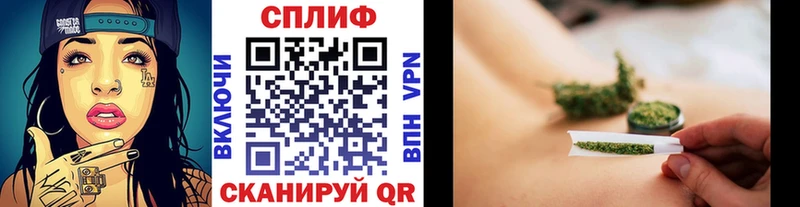 Каннабис гибрид Лаишево